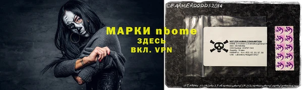 стаф Алексин