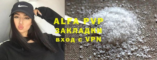 стаф Алексин