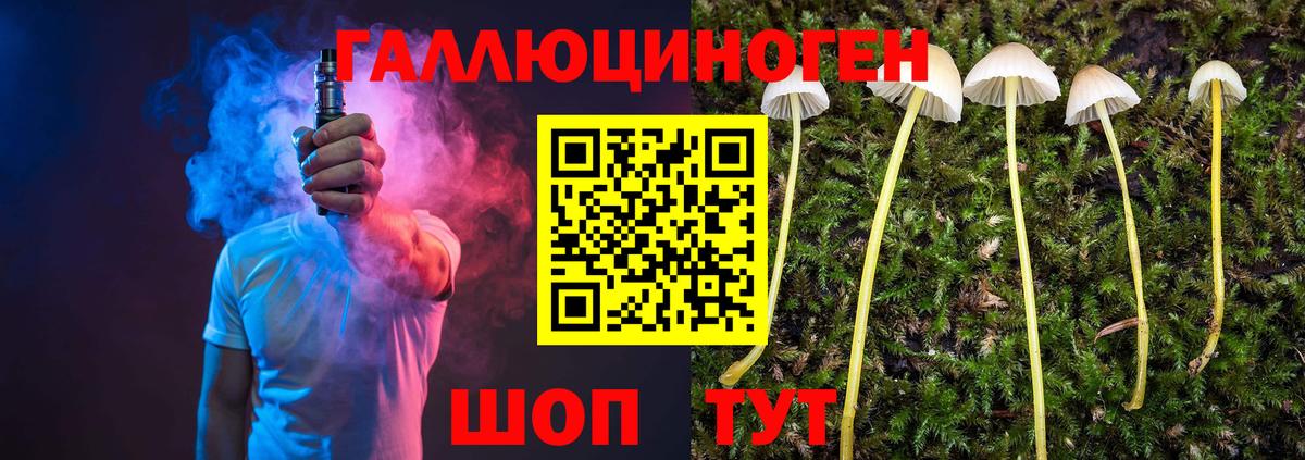 Псилоцибиновые грибы GOLDEN TEACHER Скопин
