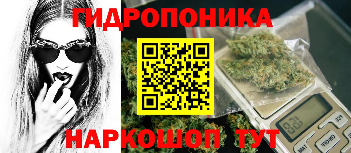 Шишки марихуана гибрид  Вход с VPN  Канабис ГИДРОПОН  Каннабис Amnesia  Скопин 
